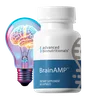BrainAMP - Illustrative